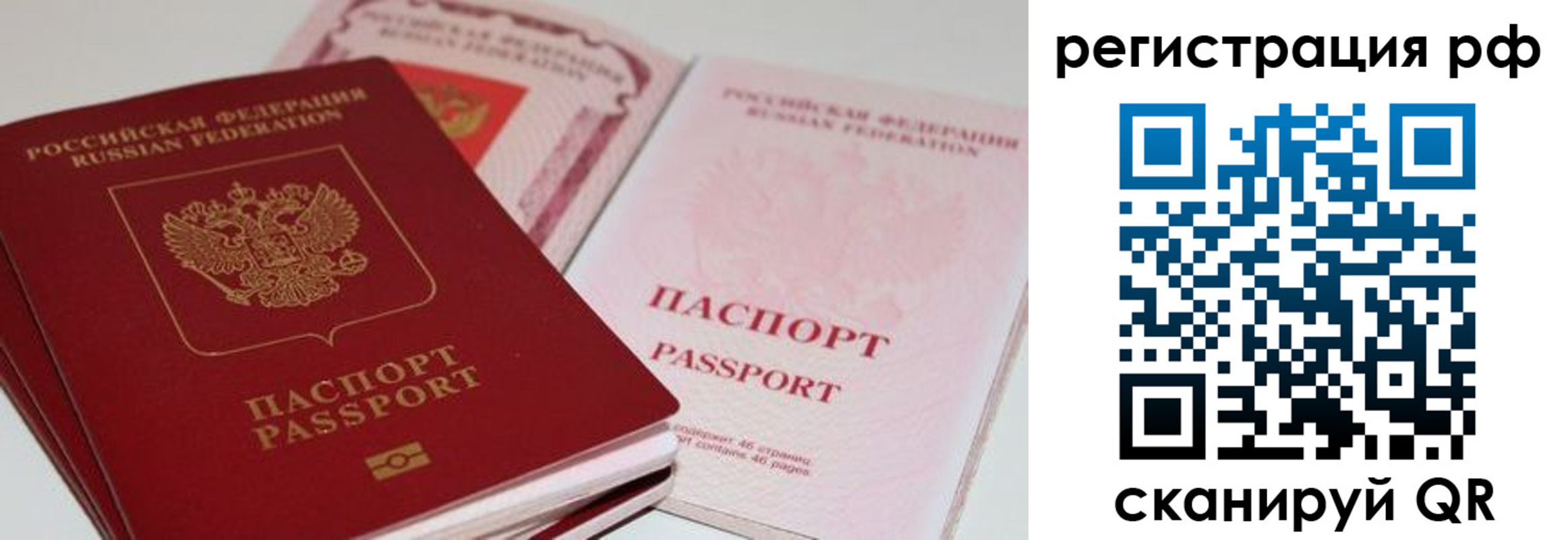 пропишу в квартире в Краснодаре